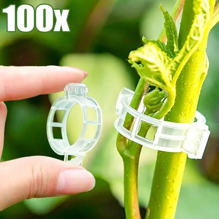 Clips de Support Réutilisables pour Plantes, Outils de Jardin, pour Tomate, Raisin, Vignes, Fruits,