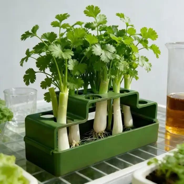 Système hydroponique intérieur pour culture d'oignons verts avec dispositif d'arrosage automatique pour jardinage urbain à la maison