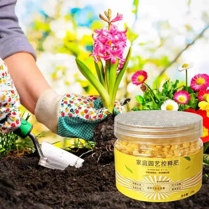 Engrais à libération lente contrôlé spécial 120 jours pour plantes succulentes, engrais granulaire n