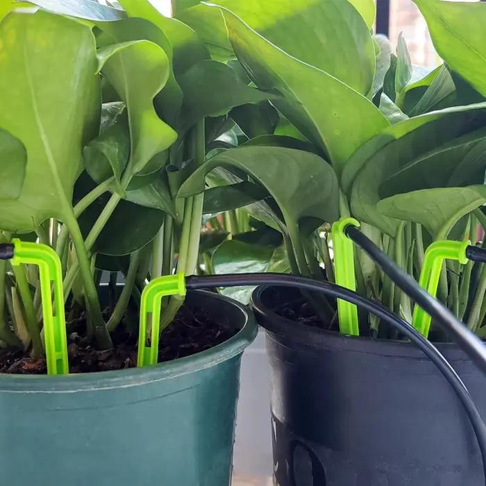 Oasis Garden-Kit de système d'irrigation goutte
