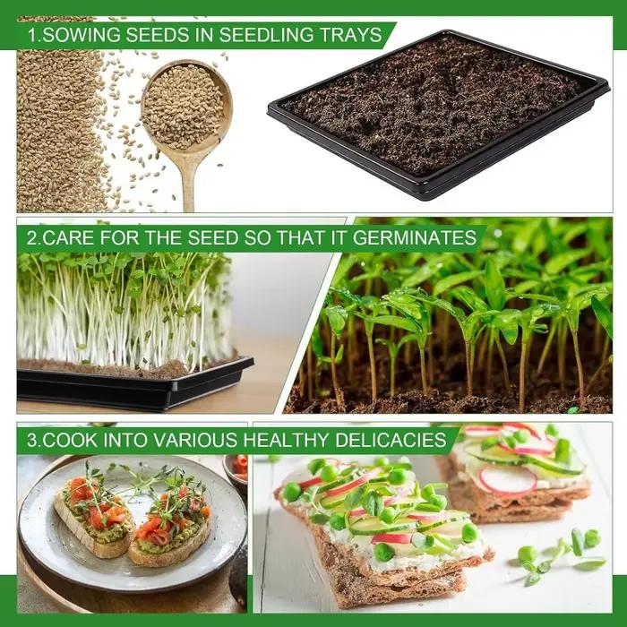 Plateaux de culture carrés en plastique pour graines de jardin, 27x27cm, 6 pièces, sans trous de vid
