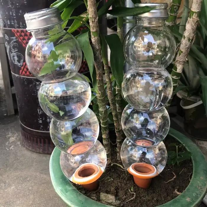 Insert de bouteille d'irrigation goutte à goutte pour plantes auto-arrosantes