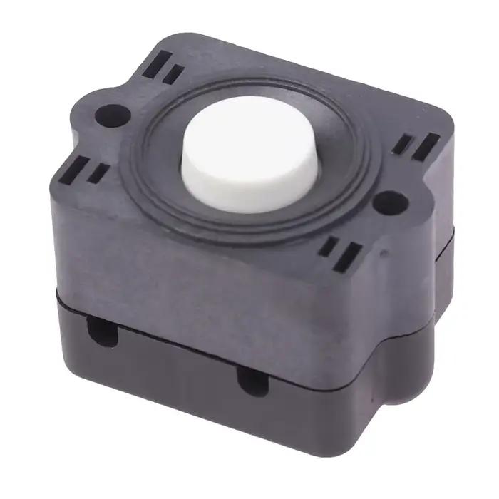 Pressostat de pompe à eau à diaphragme pour systèmes d'arrosage universels pour jardins et terrasses occassions spéciales