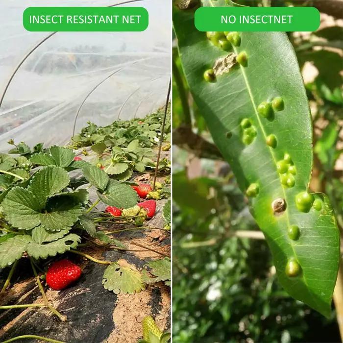 Filet de protection contre les insectes pour plantes, légumes, fruits, couverture de soin des fleurs