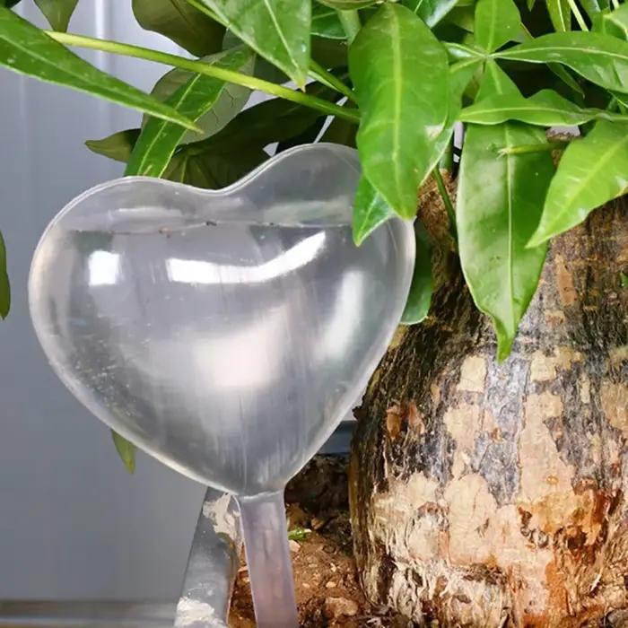 Ampoules d'arrosage automatique pour plantes
