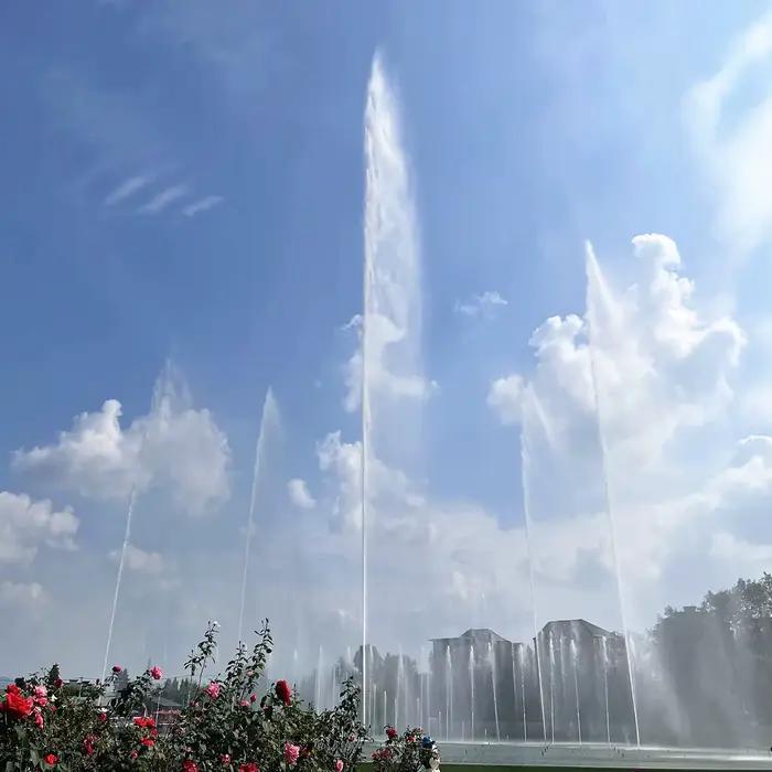 Buses de fontaine en acier inoxydable 304 de 1/2'', 3/4'', 1'' pour bassin de jardin, jet droit, têt