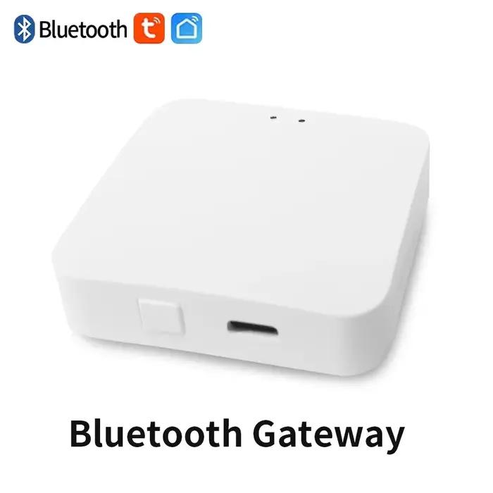 TNCE-Valve d'arrosage de jardin Bluetooth Tuya Smart, minuterie d'irrigation, télécommande, filtre A