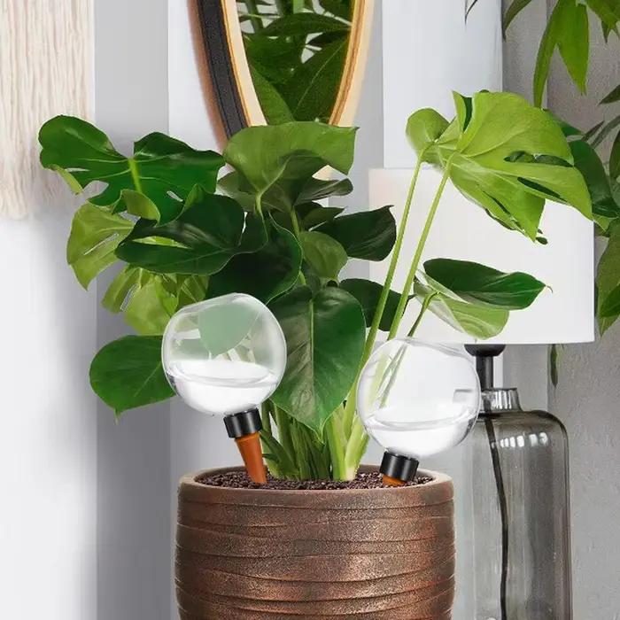 Kit d'arrosage automatique en céramique et PP pour fleurs, globe d'arrosage pratique et durable pour jardiniers et étudiants, idéal pour maintenir des plantes saines et luxuriantes