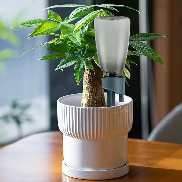 6 pièces Distributeurs d'eau automatiques pour plantes