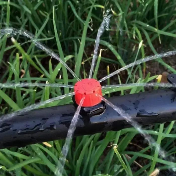 Système D'irrigation Goutte-à-goutte Automatique