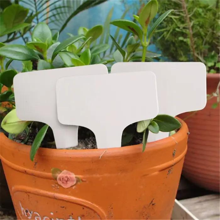 100 pièces marqueurs d'étiquettes de plantes de Type T étanche PVC plantes de jardin Classification