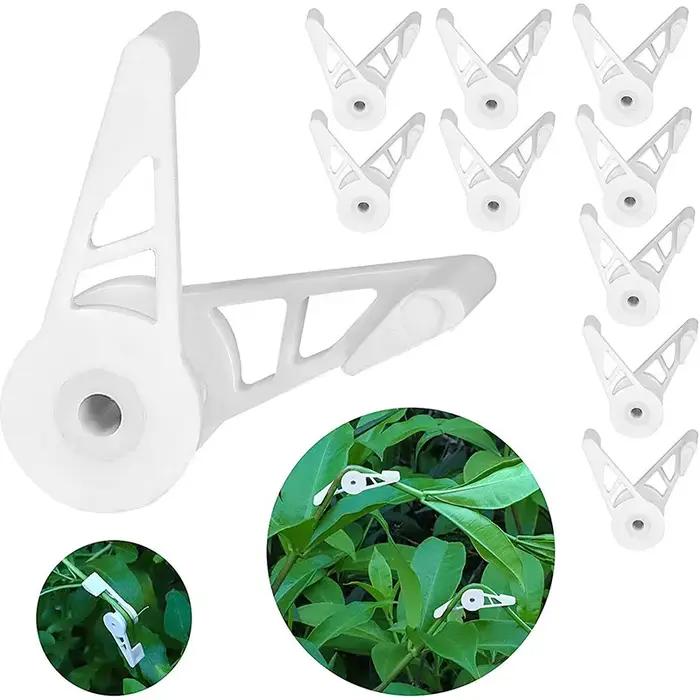 Cintreuse de plantes à 360 degrés, Supports réglables, Clip fixe pour arbres fruitiers et fleurs, fo