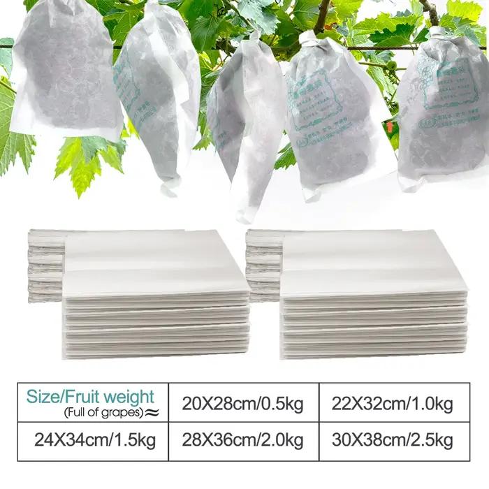 Sacs de Protection de Raisin en Papier Blanc pour Verger, Étanches aux Mites, pour la Culture de Fru