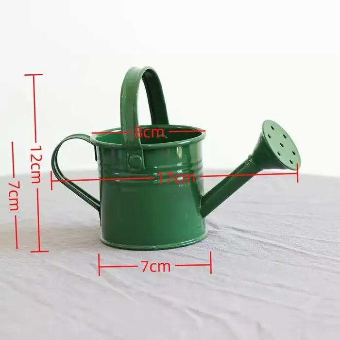 Arrosoir en métal pour jardin-Mini petit pot pulvérisateur