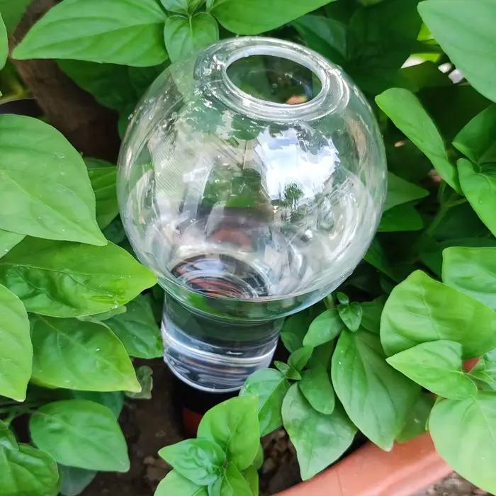 Outil d'arrosage automatique de jardin, dispositif d'arrosage goutte-à-goutte d'intérieur pour plant