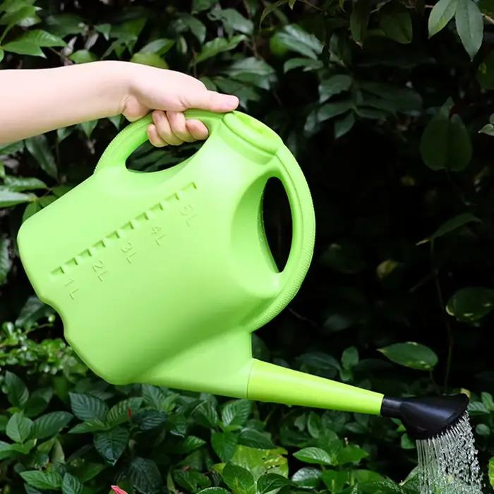 Arrosoir pour plantes d'intérieur et d'extérieur