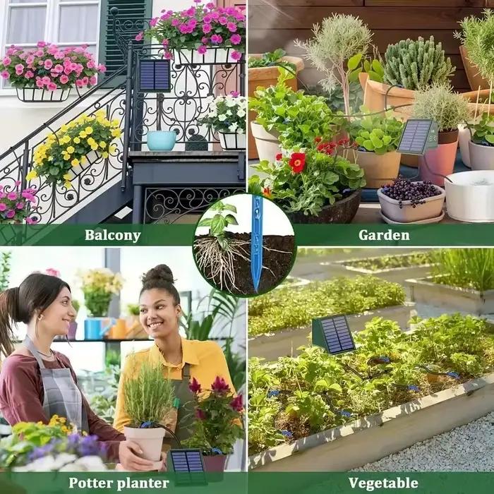 Système d'irrigation goutte-à-goutte automatique solaire DIY pour jardin